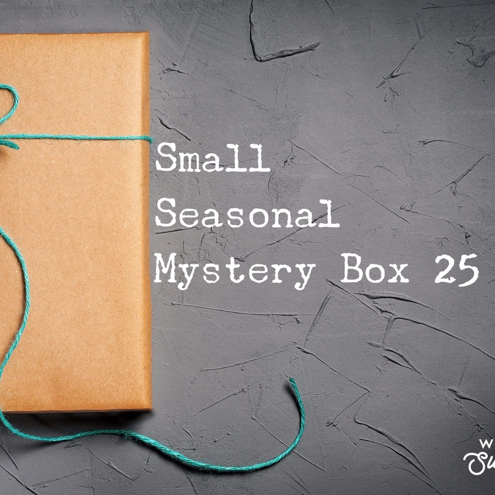 Small Seasonal Mystery Box